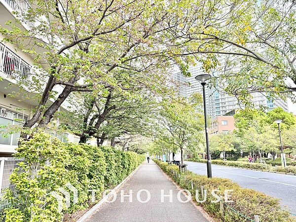 【APPEARANCE】◆眩い◆光が燦々と入り、家族の笑顔を照らす。「いつまでも続いて」と願う夢のような毎日がここにある。