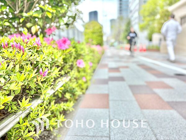【APPEARANCE】◆陽光◆が差し込む。この開放的な空間に家族の笑顔が集う。家族が一緒に過ごす空間は明るく、そして居心地よく。
