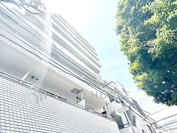 【現地写真】
