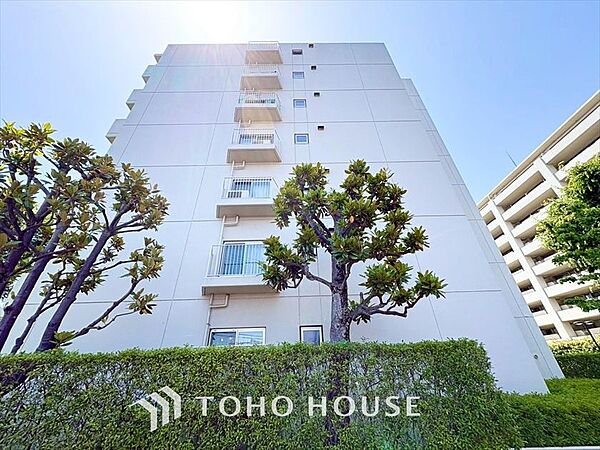 【APPEARANCE】◆眩い◆光が燦々と入り、家族の笑顔を照らす。「いつまでも続いて」と願う夢のような毎日がここにある。