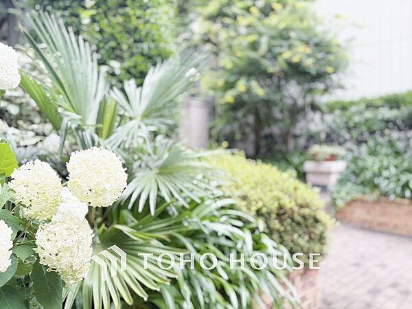 【APPEARANCE】◆眩い◆光が燦々と入り、家族の笑顔を照らす。「いつまでも続いて」と願う夢のような毎日がここにある。