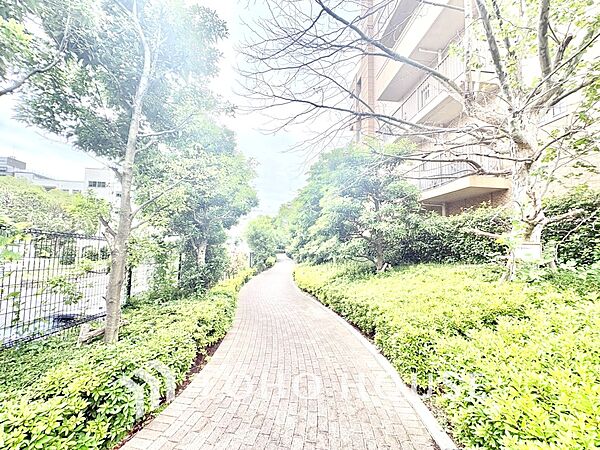 【現地写真】