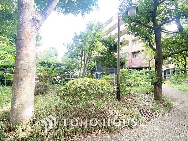 【Kitchen】美しく使いやすいキッチンは油汚れが簡単に拭き取れる素材で加工されており、浄水器シャワーから流す水の音を軽減する静かなシンクを採用。見えないところにさり気ない配慮が嬉しい
