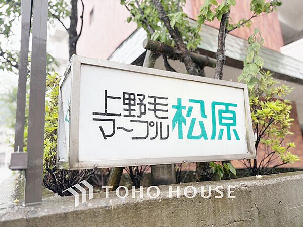 外観：313004825205