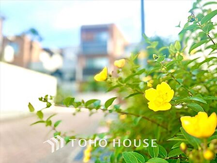 【APPEARANCE】◆煌びやか◆愛おしい家族との団欒の時間をより一層幸せなものに感じさせる。輝かしい毎日が待っています。
