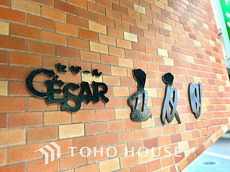 【APPEARANCE】◆弾む思い◆我が家に帰る楽しみに、心掻き立てられる。心弾む。