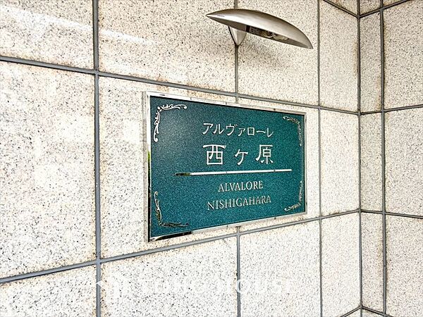 外観：313004841543