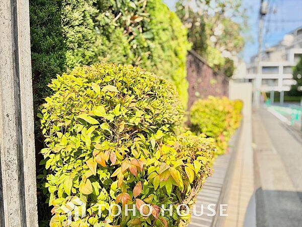 爽やかな採光がもたらす至福の時、しじまが流れる時間、鮮やかに移ろう街の情景、高く紺碧のと悠久を感じるネイチャー、この街ならではの美しい情景から新しい物語が始まります。