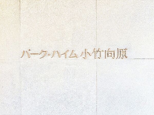 外観：313004857118
