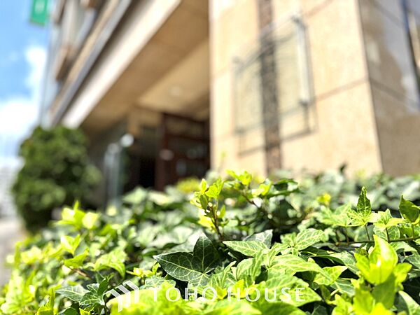【APPEARANCE】家族の笑顔が溢れる。待っているのは、夢のような毎日。