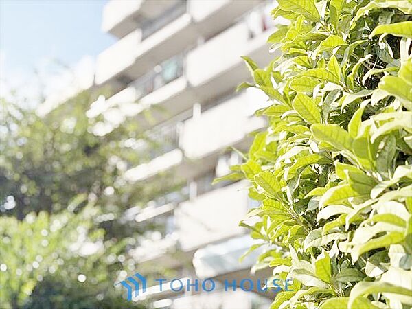 外観：313004860938