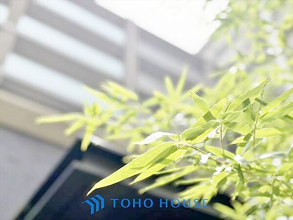 現在改装中◆開放的◆後片付けが楽なシステムキッチン。収納スペースの充実！