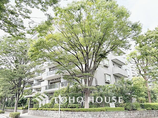 【APPEARANCE】◆眩い◆光が燦々と入り、家族の笑顔を照らす。「いつまでも続いて」と願う夢のような毎日がここにある。
