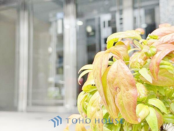【APPEARANCE】◆Sunshine◆光が燦々と入り、いるだけで気持ちいい。「開放的でゆとりあるお部屋です。」