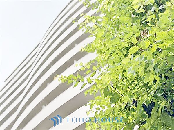 【APPEARANCE】◆弾む思い◆我が家に帰る楽しみに、心掻き立てられる。心弾む。
