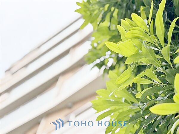 【ENTRANCE】◆そびえ立つ◆我が家のシンボル。遠くの空が赤く染まる夕べが待ち遠しい。