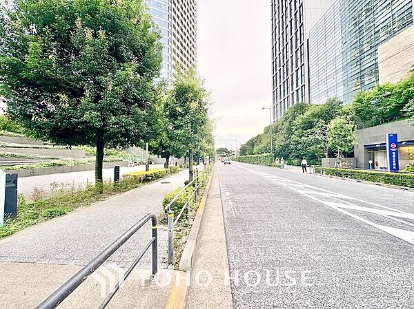 幅員が広く整備された快適な道路環境。街路樹の緑が美しく彩り、歩道もしっかりと分かれているため、お子様連れの移動や毎日の通学・通勤も安心して行える洗練された街並みです。
