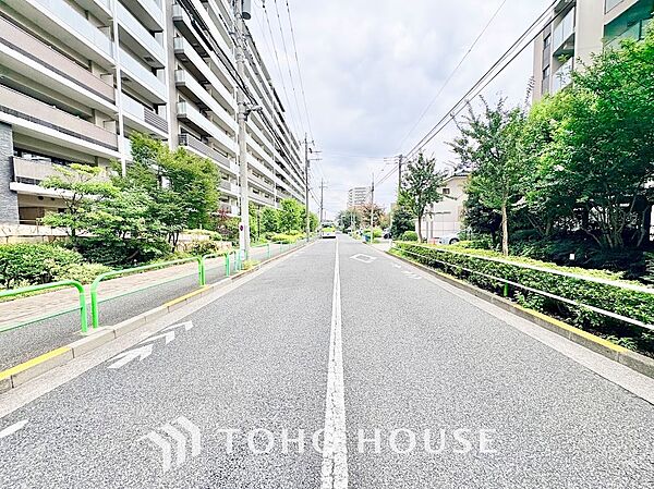 豊かな街路樹と青々とした生垣が続く綺麗な道路環境。幅員が十分に確保されており、日当たりや風通りが良いだけでなく、マイカーでの出入りやお出かけもストレスなく快適に行えます。