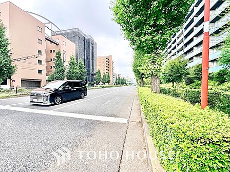 豊かな街路樹と青々とした生垣が続く綺麗な道路環境。幅員が十分に確保されており、日当たりや風通りが良いだけでなく、マイカーでの出入りやお出かけもストレスなく快適に行えます。