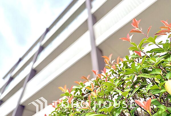 街並みに美しく映える洗練された外観。住まう誇りを感じられる、魅力あふれる佇まいです。