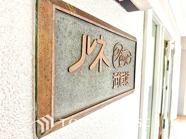外観：313004925106