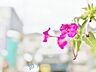 外観：【APPEARANCE】◆眩い◆光が燦々と入り、家族の笑顔を照らす。「いつまでも続いて」と願う夢のような毎日がここにある。