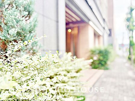 【APPEARANCE】◆ここが居場所◆家族みんなが集うこの場所で、あなただけのSTORYを。