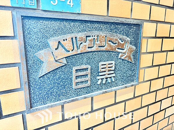 外観：313004899927