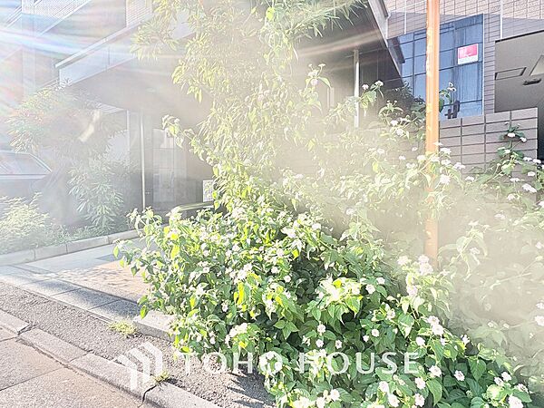 ＊改装中＊◆家族◆愛する家族を一目で見渡せる。家族が集う空間。永遠に続く幸せな毎日を、ここで。