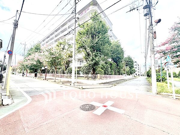 【前面道路】前面道路は見通しが良く、落ち着いた雰囲気の住環境が広がります。