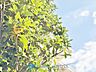 外観：◆煌びやか◆愛おしい家族との団欒の時間をより一層幸せなものに感じさせる。輝かしい毎日が待っています。