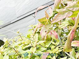 東京都世田谷区下馬３丁目