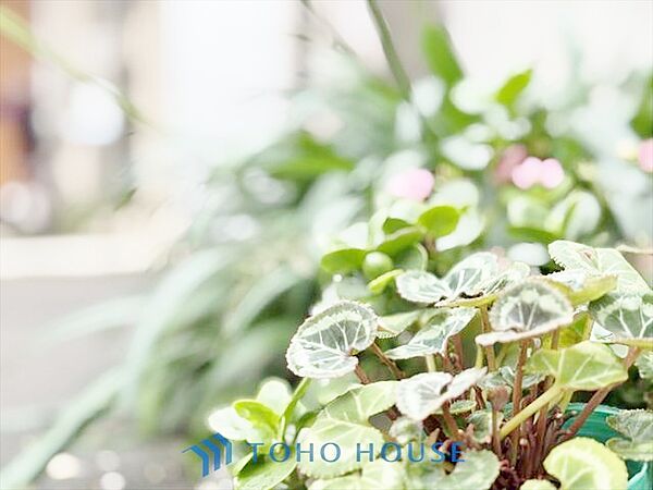 【APPEARANCE】◆煌びやか◆愛おしい家族との団欒の時間をより一層幸せなものに感じさせる。輝かしい毎日が待っています。