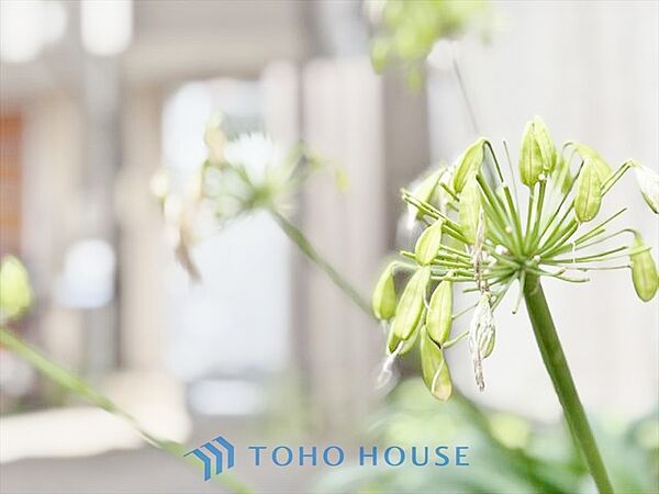 【APPEARANCE】◆家族◆愛する家族を一目で見渡せる。家族が集う空間。永遠に続く幸せな毎日を、ここで。