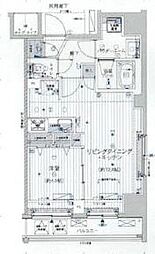 つくばエクスプレス 浅草駅 徒歩8分の賃貸マンション 5階1LDKの間取り