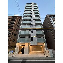 the platinum(ザ プラチナム) 1102