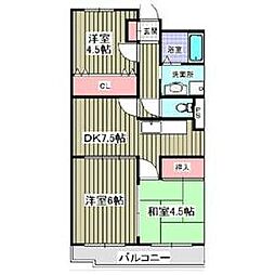 センターヒル橘 5階/502