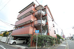 シャンボール花水木