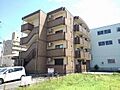 プラシード幸
