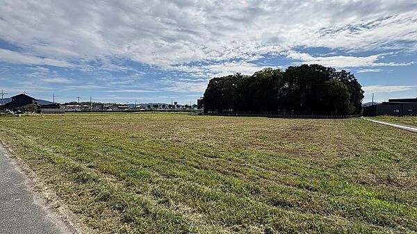 周囲に高い建物がなく開けた場所ですので風通しも良く、とても静かな場所です。