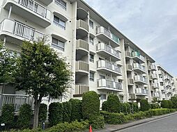 東鷲宮ニュータウン公園通り