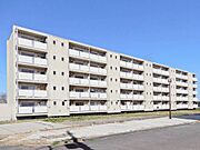 荒野台駅より徒歩55分 築54年5ヶ月 5階建の賃貸物件