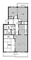 1階 / 3LDK / 66.43㎡