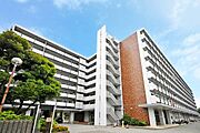 東浦和駅よりバス8分 徒歩3分 4階 築50年6ヶ月の賃貸物件