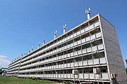 ビレッジハウス東月寒2号棟 3階 築47年10ヶ月の賃貸物件