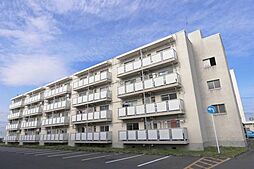 ビレッジハウス新井田2号棟 0305