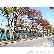 宇野辺駅より徒歩10分 3階 築40年10ヶ月の賃貸物件