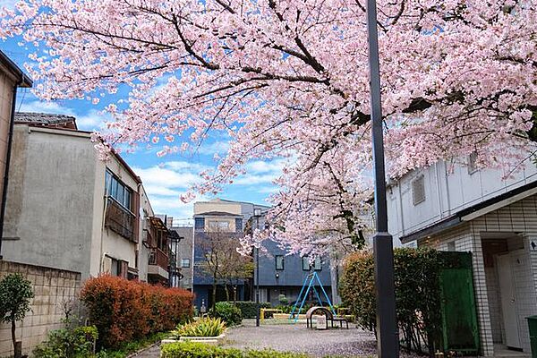 目の前に広がる開放感とゆとり、四季折々の季節を感じる理想の住まいに◎