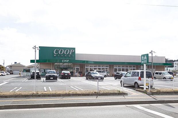 COOP　MIYAGI台原店 徒歩9分。 660m