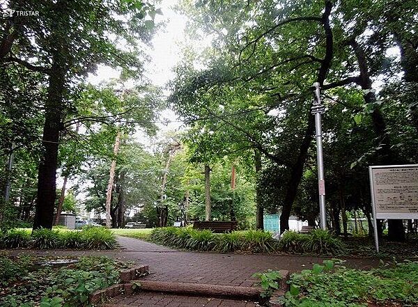 谷戸イチョウ公園 徒歩5分。 340m